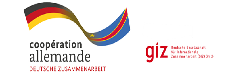 Logo Giz coopération allemande